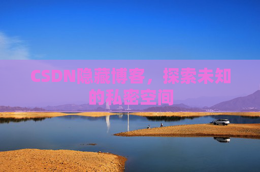 CSDN隐藏博客，探索未知的私密空间